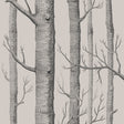COLE & SON 112/3009.CS.0 WOODS LINEN/CHARCOAL Wallpaper - Eade's Wallpaper