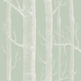COLE & SON 112/3013.CS.0 WOODS OLD OLIVE Wallpaper - Eade's Wallpaper