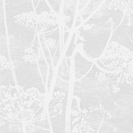 COLE & SON 112/8027.CS.0 COW PARSLEY WHITE Wallpaper - Eade's Wallpaper
