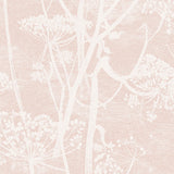 COLE & SON 112/8028.CS.0 COW PARSLEY PLASTER PINK Wallpaper - Eade's Wallpaper