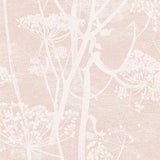 COLE & SON 112/8028.CS.0 COW PARSLEY PLASTER PINK Wallpaper - Eade's Wallpaper