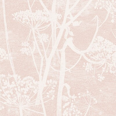 COLE & SON 112/8028.CS.0 COW PARSLEY PLASTER PINK Wallpaper - Eade's Wallpaper