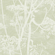 COLE & SON 112/8029.CS.0 COW PARSLEY OLIVE Wallpaper - Eade's Wallpaper