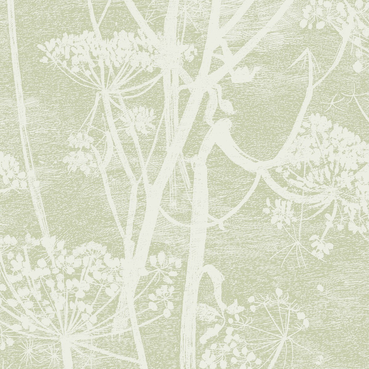 COLE & SON 112/8029.CS.0 COW PARSLEY OLIVE Wallpaper - Eade's Wallpaper
