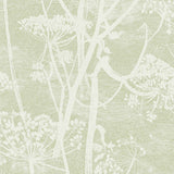 COLE & SON 112/8029.CS.0 COW PARSLEY OLIVE Wallpaper - Eade's Wallpaper