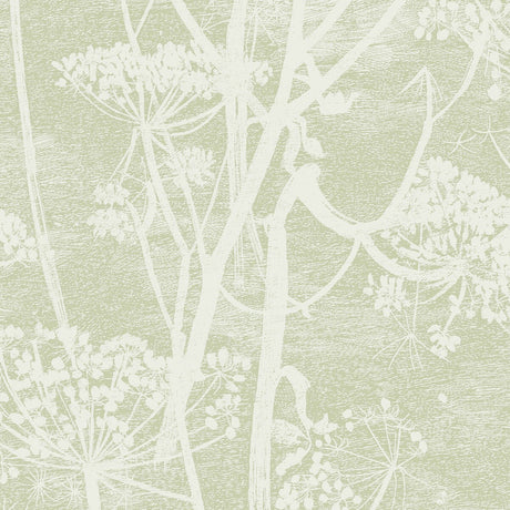 COLE & SON 112/8029.CS.0 COW PARSLEY OLIVE Wallpaper - Eade's Wallpaper