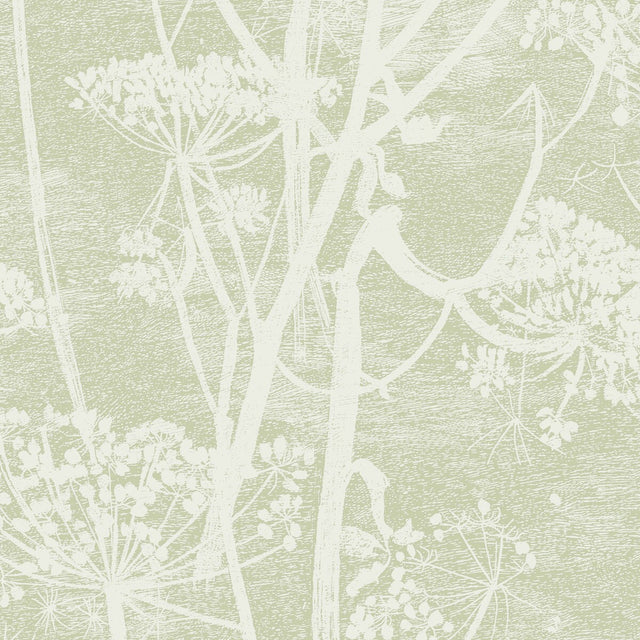 COLE & SON 112/8029.CS.0 COW PARSLEY OLIVE Wallpaper - Eade's Wallpaper