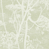 COLE & SON 112/8029.CS.0 COW PARSLEY OLIVE Wallpaper - Eade's Wallpaper