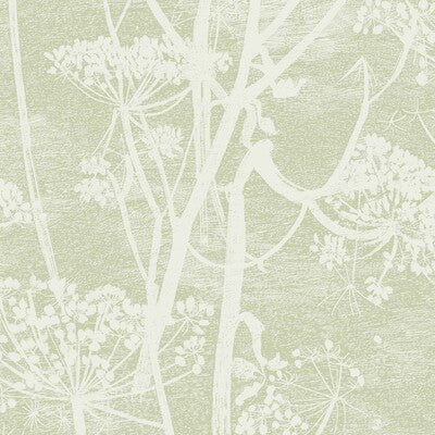 COLE & SON 112/8029.CS.0 COW PARSLEY OLIVE Wallpaper - Eade's Wallpaper