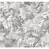 COLE & SON 113/3011.CS.0 ROYAL FERNERY WARM GREY Wallpaper - Eade's Wallpaper