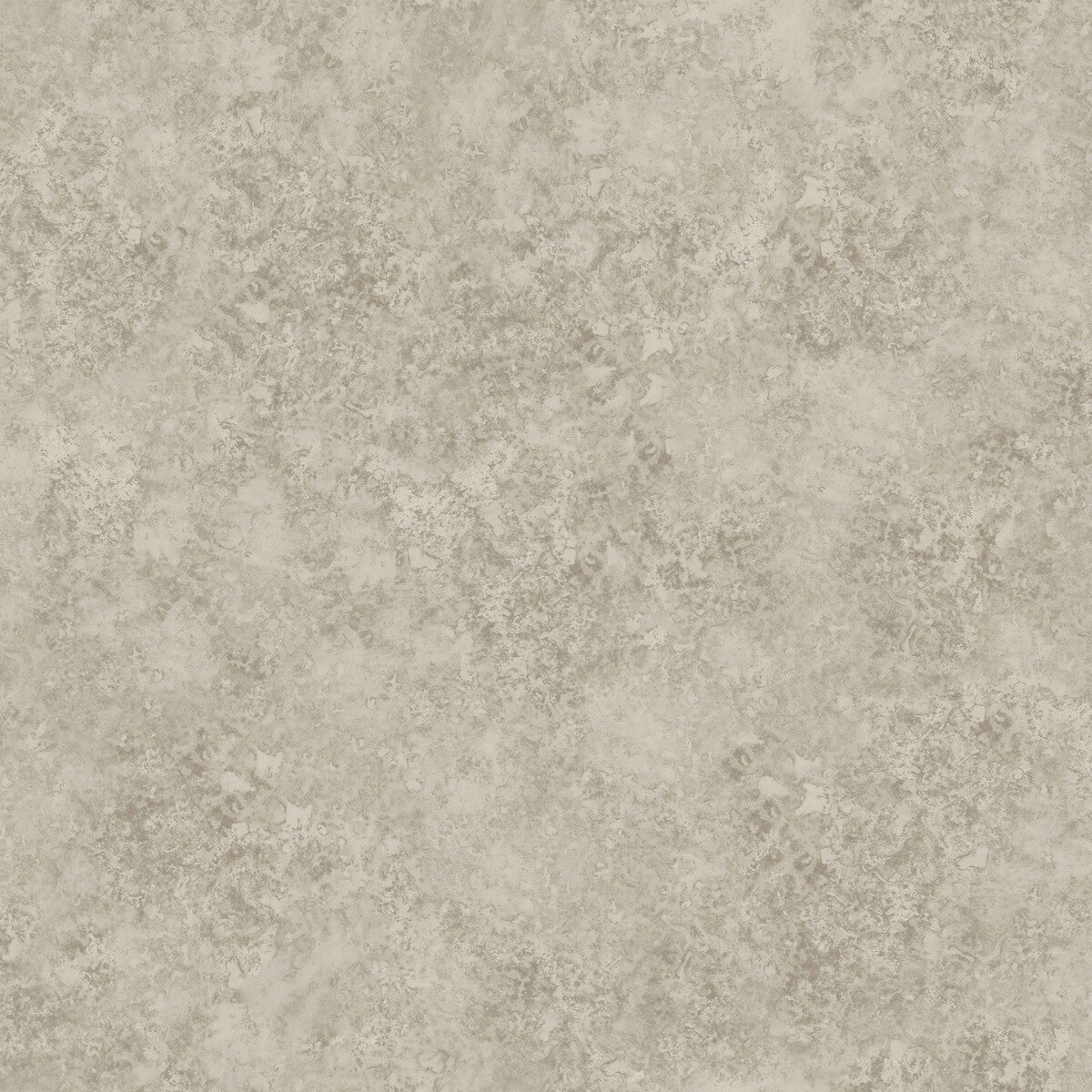 COLE & SON 113/9026.CS.0 PATINA HAZE WARM GILVER Wallpaper - Eade's Wallpaper