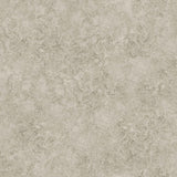 COLE & SON 113/9026.CS.0 PATINA HAZE WARM GILVER Wallpaper - Eade's Wallpaper