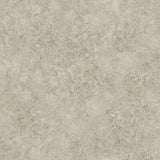 COLE & SON 113/9026.CS.0 PATINA HAZE WARM GILVER Wallpaper - Eade's Wallpaper