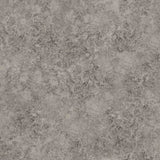 COLE & SON 113/9027.CS.0 PATINA HAZE TAUPE Wallpaper - Eade's Wallpaper