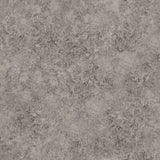 COLE & SON 113/9027.CS.0 PATINA HAZE TAUPE Wallpaper - Eade's Wallpaper