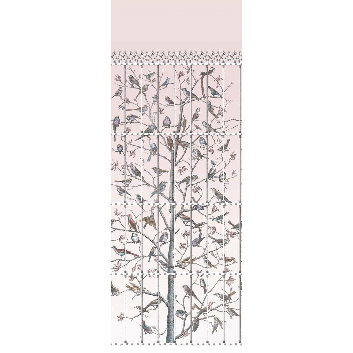 COLE & SON 114/11022.CS.0 UCCELLI BALLET SLIPPER Wallpaper - Eade's Wallpaper