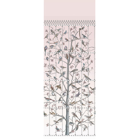 COLE & SON 114/11022.CS.0 UCCELLI BALLET SLIPPER Wallpaper - Eade's Wallpaper