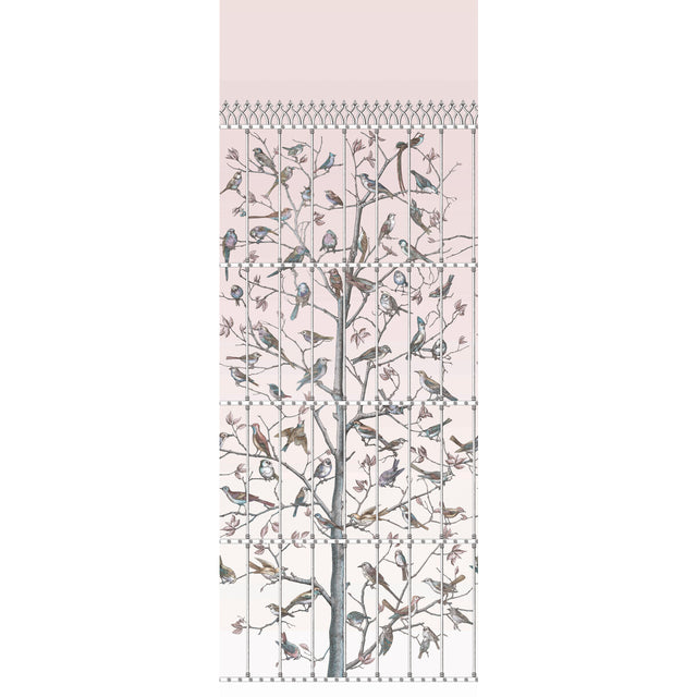 COLE & SON 114/11022.CS.0 UCCELLI BALLET SLIPPER Wallpaper - Eade's Wallpaper