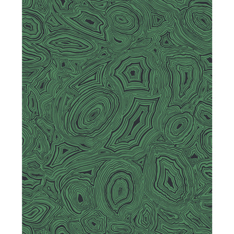 COLE & SON 114/17035.CS.0 MALACHITE EMERALD/BLACK Wallpaper - Eade's Wallpaper