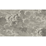 COLE & SON 114/2004.CS.0 NUVOLETTE GILVER & CHARCOAL Wallpaper - Eade's Wallpaper