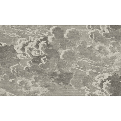 COLE & SON 114/2004.CS.0 NUVOLETTE GILVER & CHARCOAL Wallpaper - Eade's Wallpaper