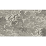 COLE & SON 114/2004.CS.0 NUVOLETTE GILVER & CHARCOAL Wallpaper - Eade's Wallpaper