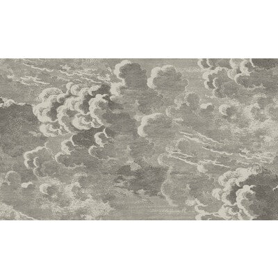 COLE & SON 114/2004.CS.0 NUVOLETTE GILVER & CHARCOAL Wallpaper - Eade's Wallpaper