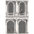 COLE & SON 114/21041.CS.0 PROCURATIE E SCIMMIE B/W Wallpaper - Eade's Wallpaper