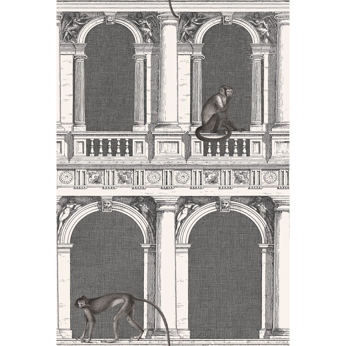 COLE & SON 114/21041.CS.0 PROCURATIE E SCIMMIE B/W Wallpaper - Eade's Wallpaper
