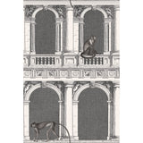 COLE & SON 114/21041.CS.0 PROCURATIE E SCIMMIE B/W Wallpaper - Eade's Wallpaper