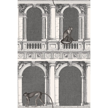 COLE & SON 114/21041.CS.0 PROCURATIE E SCIMMIE B/W Wallpaper - Eade's Wallpaper