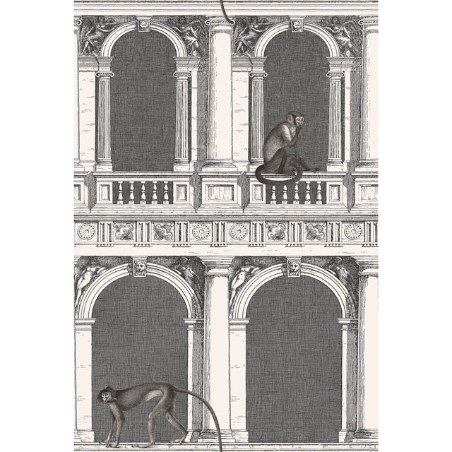 COLE & SON 114/21041.CS.0 PROCURATIE E SCIMMIE B/W Wallpaper - Eade's Wallpaper