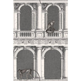 COLE & SON 114/21041.CS.0 PROCURATIE E SCIMMIE B/W Wallpaper - Eade's Wallpaper