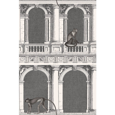 COLE & SON 114/21041.CS.0 PROCURATIE E SCIMMIE B/W Wallpaper - Eade's Wallpaper