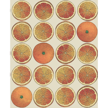 COLE & SON 114/24047.CS.0 ARANCE ORANGE/CREAM Wallpaper - Eade's Wallpaper