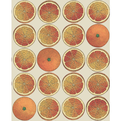COLE & SON 114/24047.CS.0 ARANCE ORANGE/CREAM Wallpaper - Eade's Wallpaper
