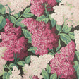 COLE & SON 115/1001.CS.0 LILAC MAGENTA/BLUSH/CHARCO Wallpaper - Eade's Wallpaper
