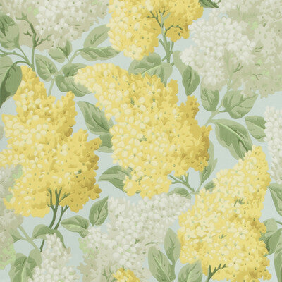 COLE & SON 115/1003.CS.0 LILAC LEMON/OLIVE/PRM BLUE Wallpaper - Eade's Wallpaper