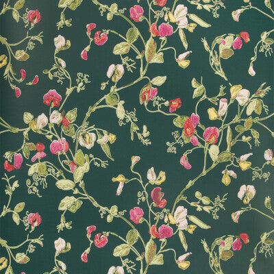 COLE & SON 115/11033.CS.0 SWEET PEA CERISE/MAGEN/VRDN Wallpaper - Eade's Wallpaper