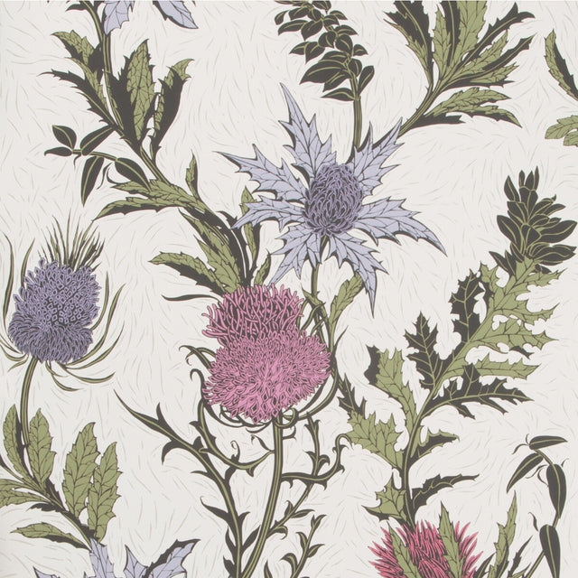 COLE & SON 115/14044.CS.0 THISTLE LILAC/CERISE/WHITE Wallpaper - Eade's Wallpaper