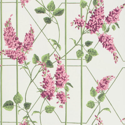 COLE & SON 115/5013.CS.0 WISTERIA MAGENTA/GREEN/WH Wallpaper - Eade's Wallpaper