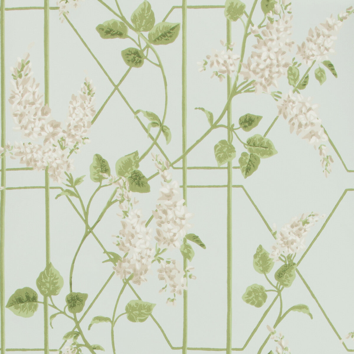 COLE & SON 115/5014.CS.0 WISTERIA STONE/OLIVE/D EGG Wallpaper - Eade's Wallpaper