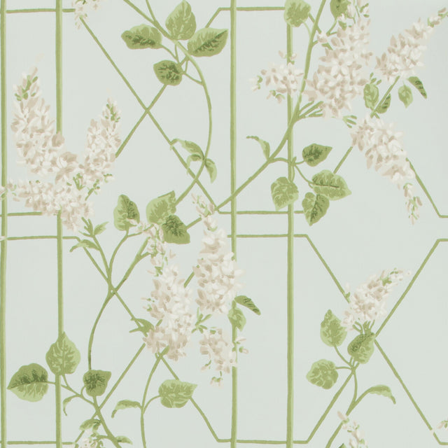 COLE & SON 115/5014.CS.0 WISTERIA STONE/OLIVE/D EGG Wallpaper - Eade's Wallpaper