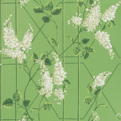 COLE & SON 115/5016.CS.0 WISTERIA SAGE/LEAF GREEN Wallpaper - Eade's Wallpaper