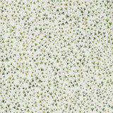 COLE & SON 115/6018.CS.0 MAIDENHAIR OLIVE Wallpaper - Eade's Wallpaper