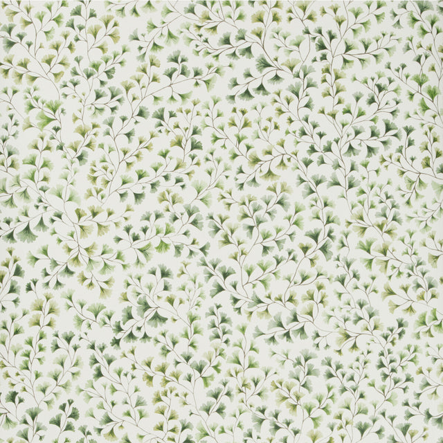 COLE & SON 115/6018.CS.0 MAIDENHAIR OLIVE Wallpaper - Eade's Wallpaper
