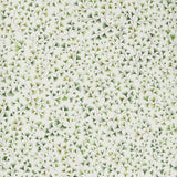 COLE & SON 115/6018.CS.0 MAIDENHAIR OLIVE Wallpaper - Eade's Wallpaper