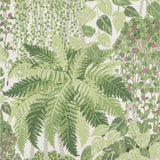 COLE & SON 115/7021.CS.0 FERN LEAF GREEN AND OLIVE Wallpaper - Eade's Wallpaper