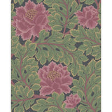 COLE & SON 116/1002.CS.0 AURORA ROSE/FOREST/CHAR Wallpaper - Eade's Wallpaper
