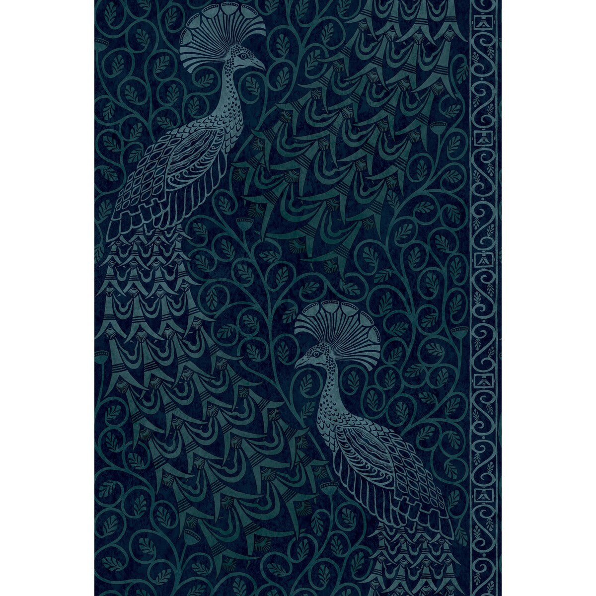 COLE & SON 116/8028.CS.0 PAVO PARADE M PETROL/INK Wallpaper - Eade's Wallpaper